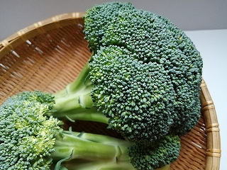 ブロッコリー